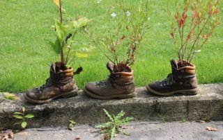 Blumen in alten Schuhen