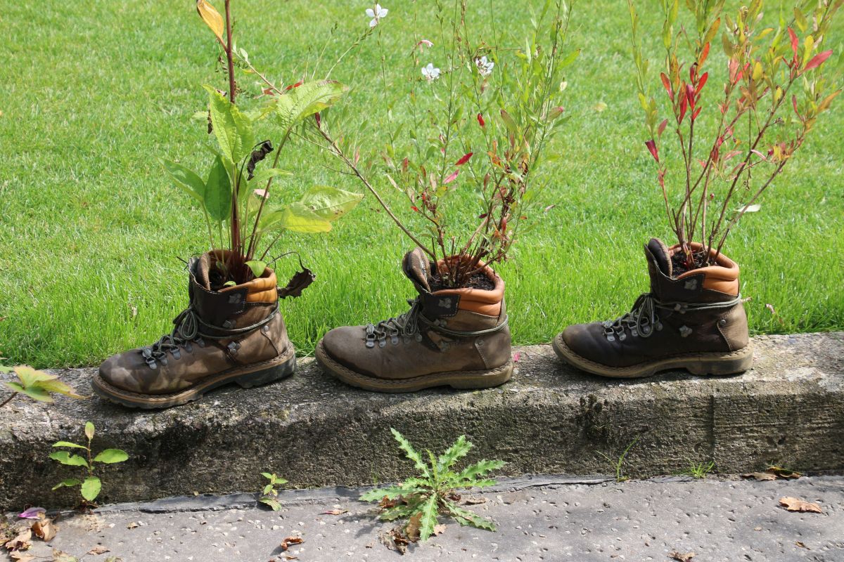 Blumen in alten Schuhen